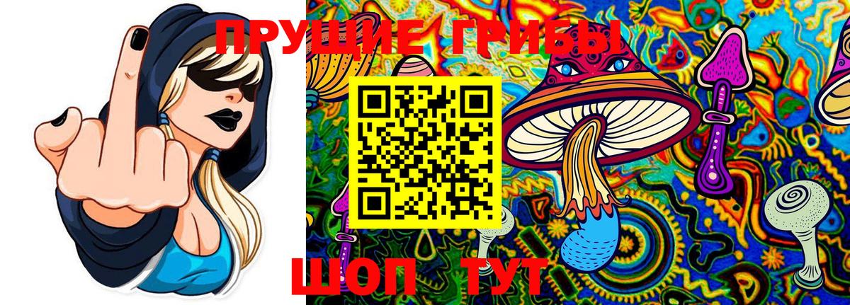купить  сайты  Вход с VPN  Донской  Галлюциногенные грибы прущие грибы 
